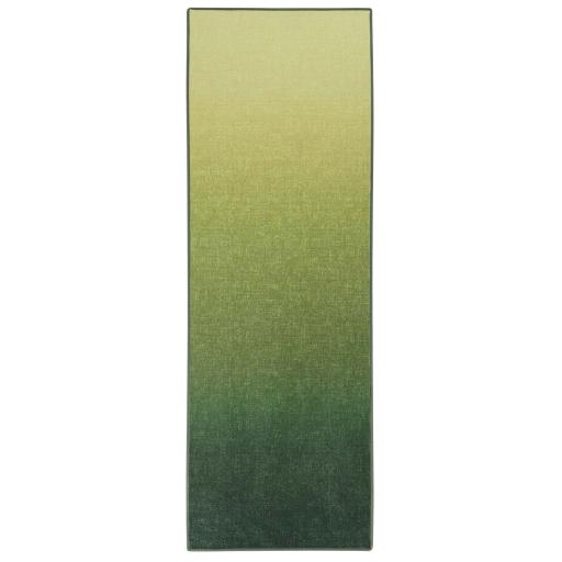 Horizon-Celery-Ombre-Runner-Overhead_a71d161b-c837-4e98-bad9-2af60fa443aa.jpg