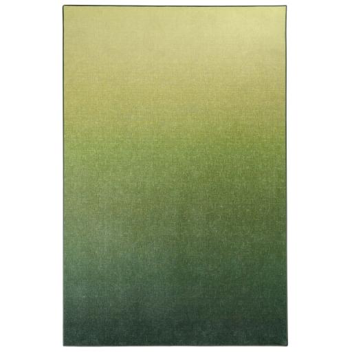 Horizon-Celery-Ombre-Rug-Overhead_1269cd2c-7318-4add-9786-602758e0bb38.jpg