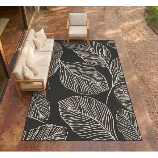 LEAF BLACK ROOM.jpg