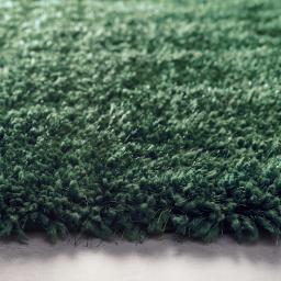 Chicago Forest Green D_01.jpg