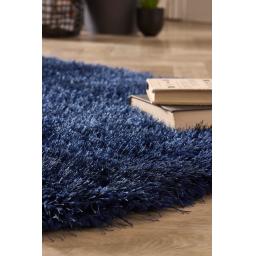 Chicago Indigo Runner D-01.jpg