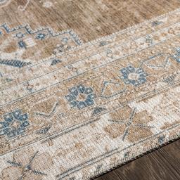 cln2303-texture.jpg