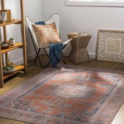 cln2306-roomscene_201.jpg