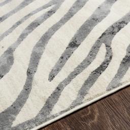 cit2300-texture.jpg
