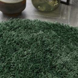 Chicago Forest Green D_02.jpg