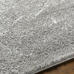 cdg2304-texture.jpg
