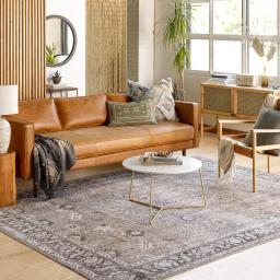 cln2300-roomscene_202.jpg