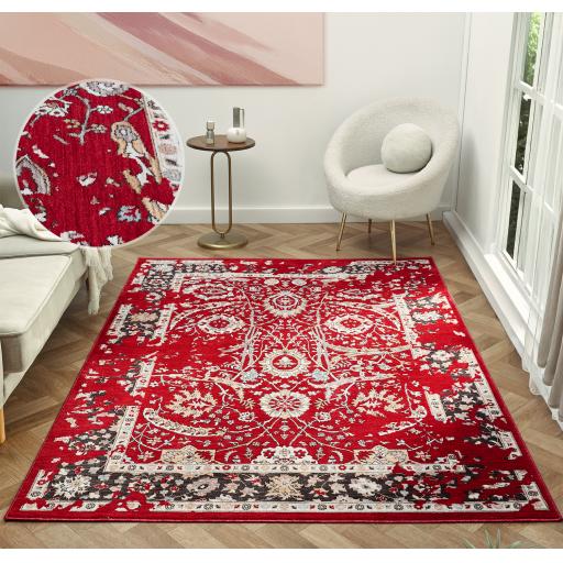 ALIA-PARISA-RED-ROOM2.jpg
