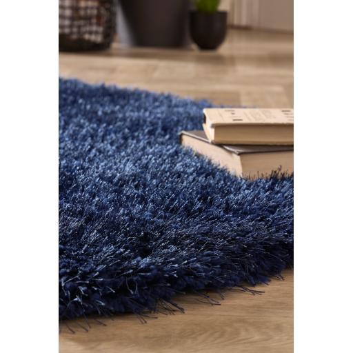 Chicago Indigo Runner D-01.jpg