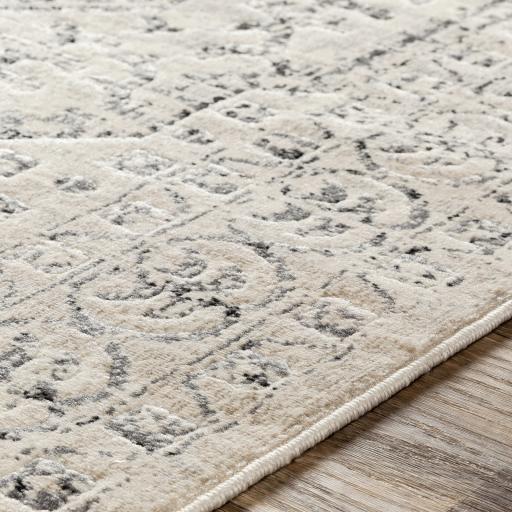 cit2381-texture.jpg