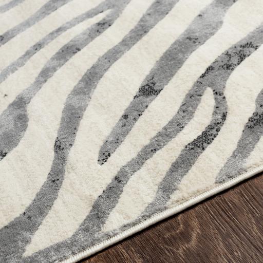cit2300-texture.jpg