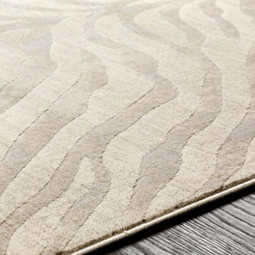 cit2301-texture.jpg