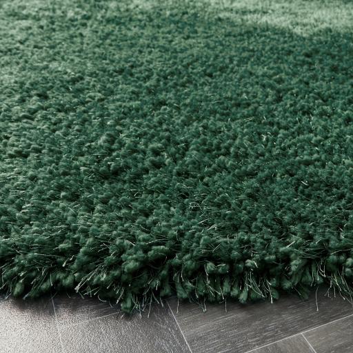 Chicago Forest Green D_03.jpg
