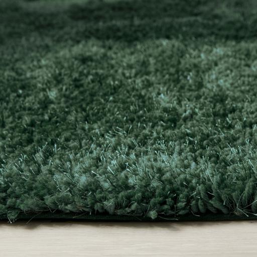 Chicago Forest Green Runner D_02.jpg