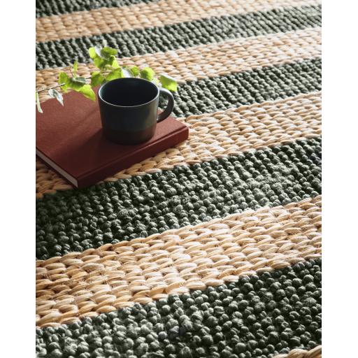 Bondi Jute Stripe Bottle Green Rug D_02.jpg